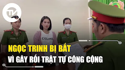 Người mẫu, diễn viên Ngọc Trinh bị bắt vì hành vi gây rối trật tự công cộng