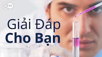 Giải Đáp Cho Bạn