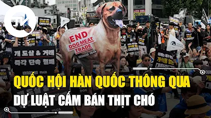 Quốc hội Hàn Quốc thông qua dự Luật cấm bán thịt chó