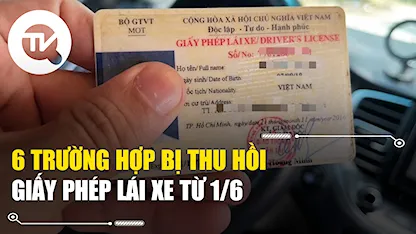 6 trường hợp bị thu hồi giấy phép lái xe từ 1/6