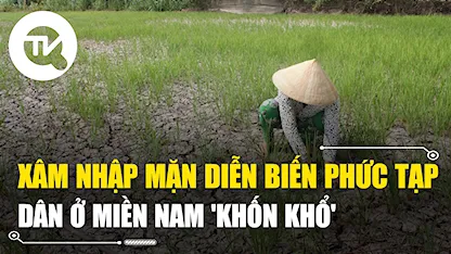 Dân 'khốn khổ' vì xâm nhập mặn diễn biến phức tạp ở miền Nam