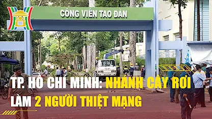 TP. Hồ Chí Minh:Nhánh cây rơi làm 2 người thiệt mạng