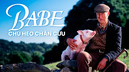 Babe: Chú Heo Chăn Cừu