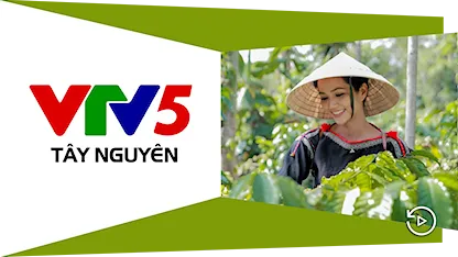 VTV5 Tây Nguyên