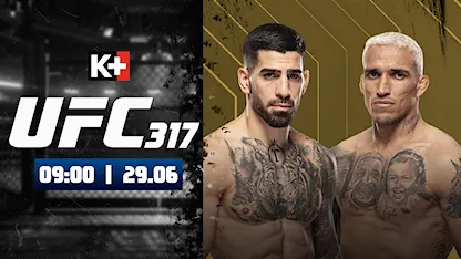 UFC 317