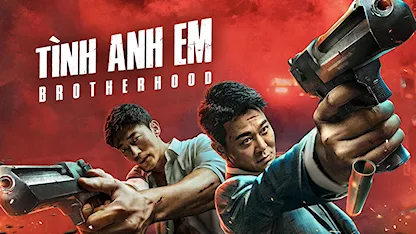 Tình Anh Em - 11 - Lưu Chương Mục - Ngô Việt - Lạc Ngôn - Lưu Tuấn Hiếu - Mã Dực