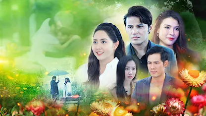 Tình Yêu Bất Tử