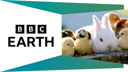BBC Earth