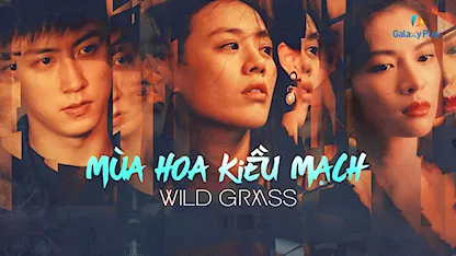 Mùa Hoa Kiều Mạch