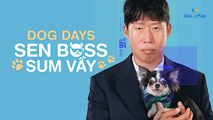 Sen Boss Sum Vầy