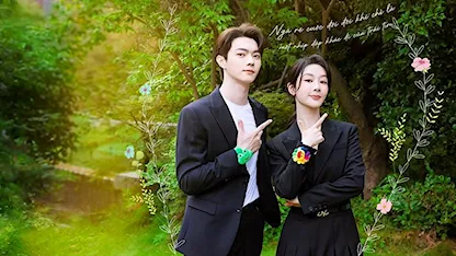 Ngã Rẽ Hạnh Phúc