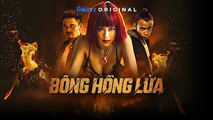 Bông Hồng Lửa