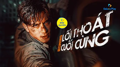 Domino: Lối Thoát Cuối Cùng
