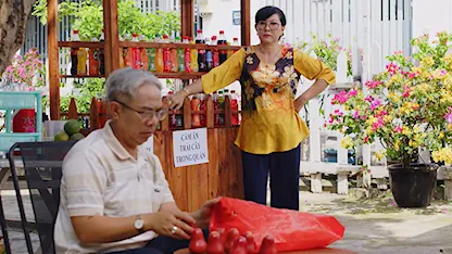 Những Ngôi Nhà Trong Hẻm