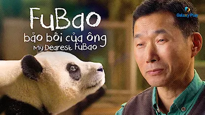 Fubao: Bảo Bối Của Ông