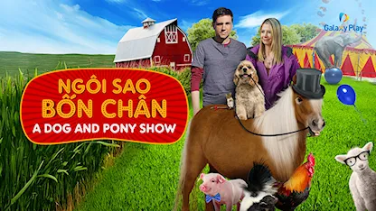 Ngôi Sao Bốn Chân