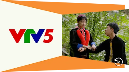 VTV5 HD