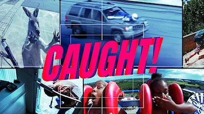 Lọt Vào Ống Kính