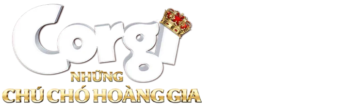 Corgi: Những Chú Chó Hoàng Gia