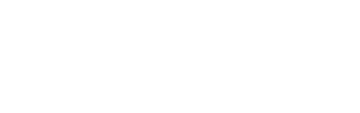 Cú Lừa Nên Duyên