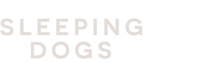 Để Quá Khứ Ngủ Yên