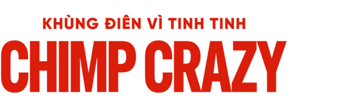 Khùng Điên Vì Tinh Tinh