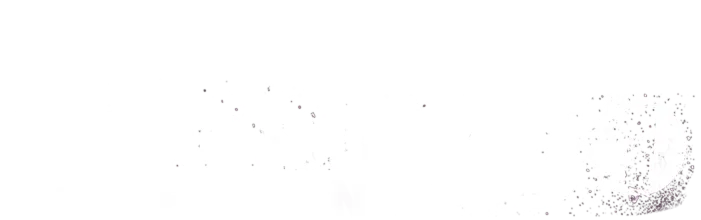 Cô Giáo Em Là Số 1